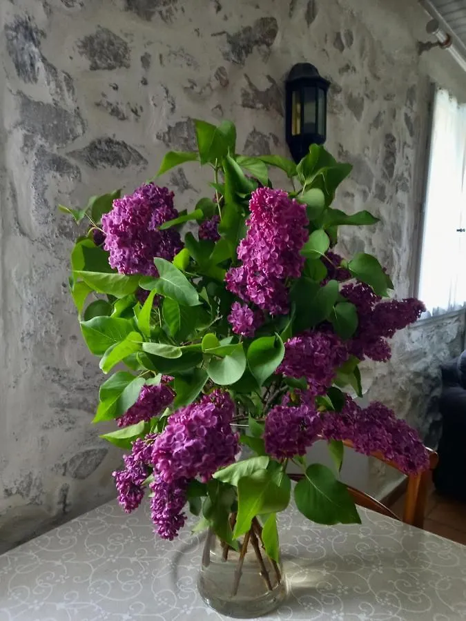 Bed & Breakfast La Meridienne - Chambres D'Hotes Venterol