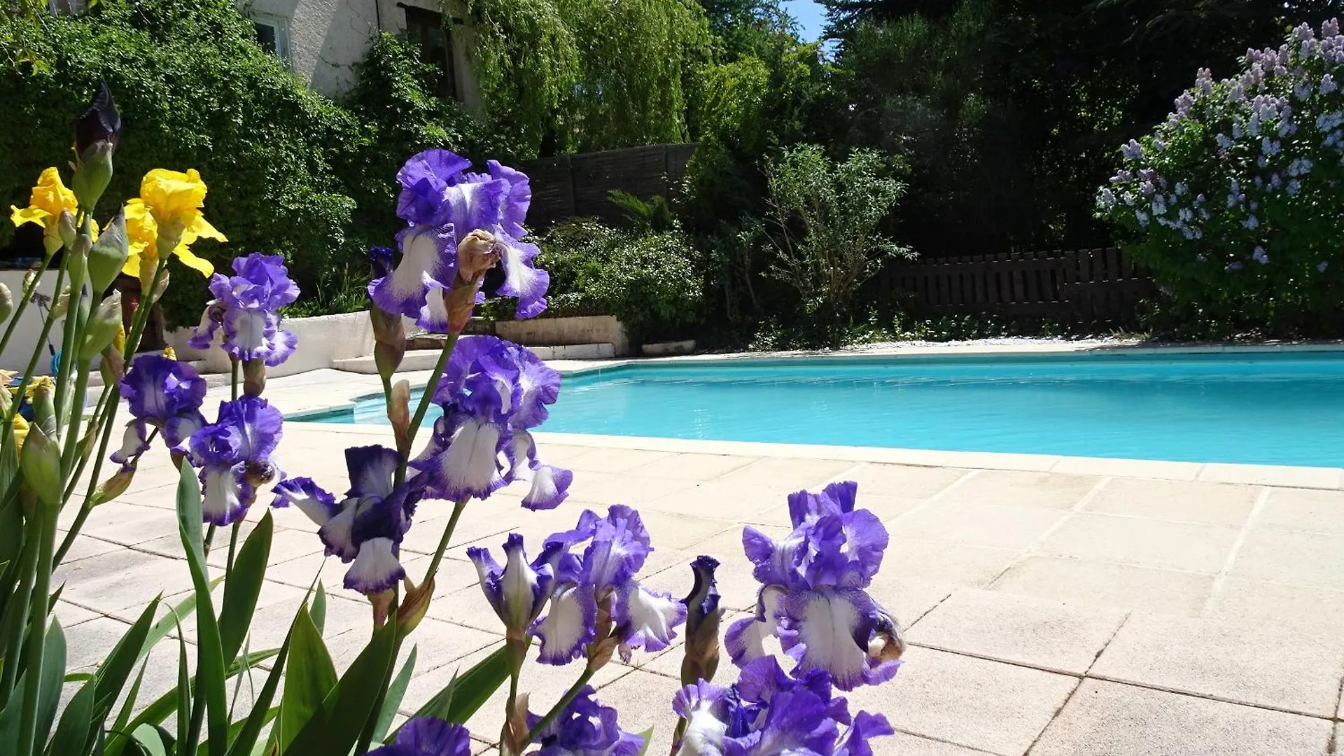 Bed & Breakfast La Meridienne - Chambres D'Hotes Venterol  Frankrijk